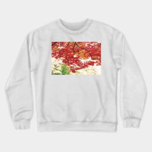 The Red Dome Crewneck Sweatshirt